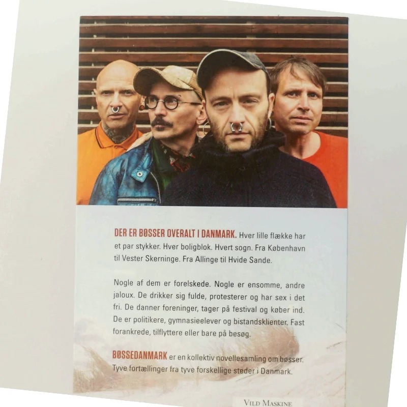 Bøssedanmark : noveller (Bog)