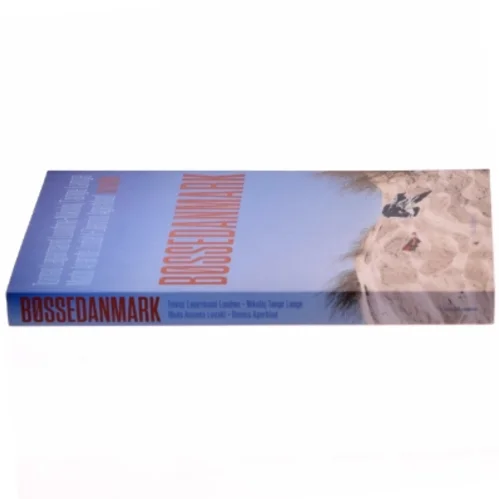 Bøssedanmark : noveller (Bog)