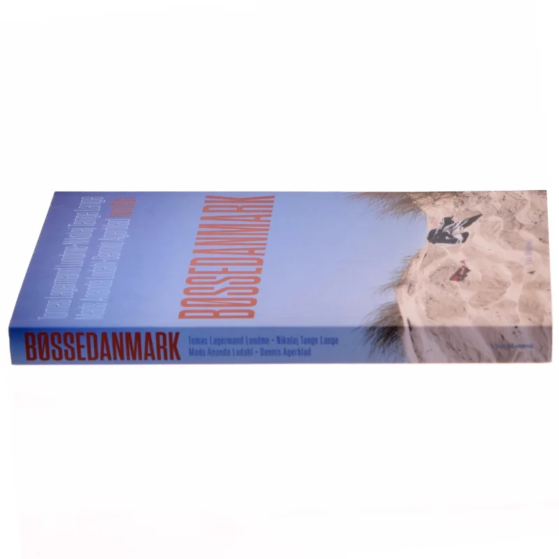 Bøssedanmark : noveller (Bog)