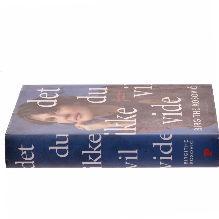 Det, du ikke vil vide : dokumentarroman af Birgithe Kosović (Bog)