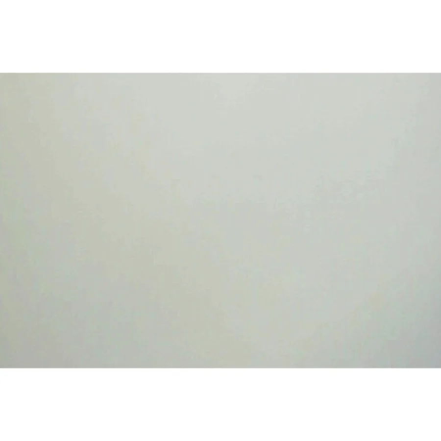 The vampire diaries. #6, Skyggesjæle af L. J. Smith (Bog)