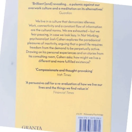 Not Working af Josh Cohen (Bog)