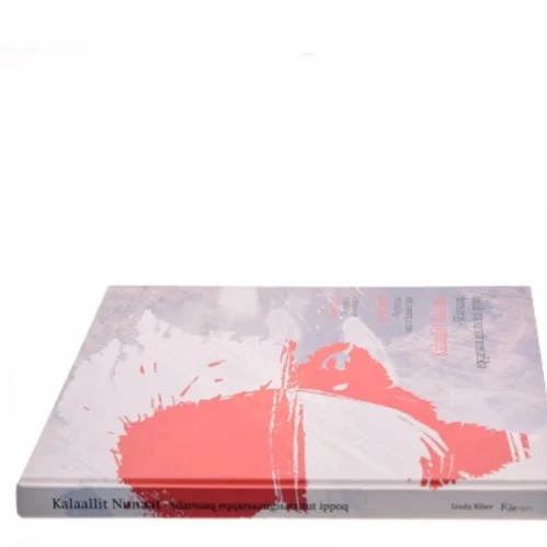 Silarsuaq eqqarsaatigisatsitut ippoq af Linda Riber (Bog)