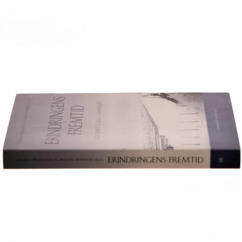 Erindringens fremtid - Auschwitz-dag i Danmark af Thomas Brudholm og Martin Mennecke (Bog)