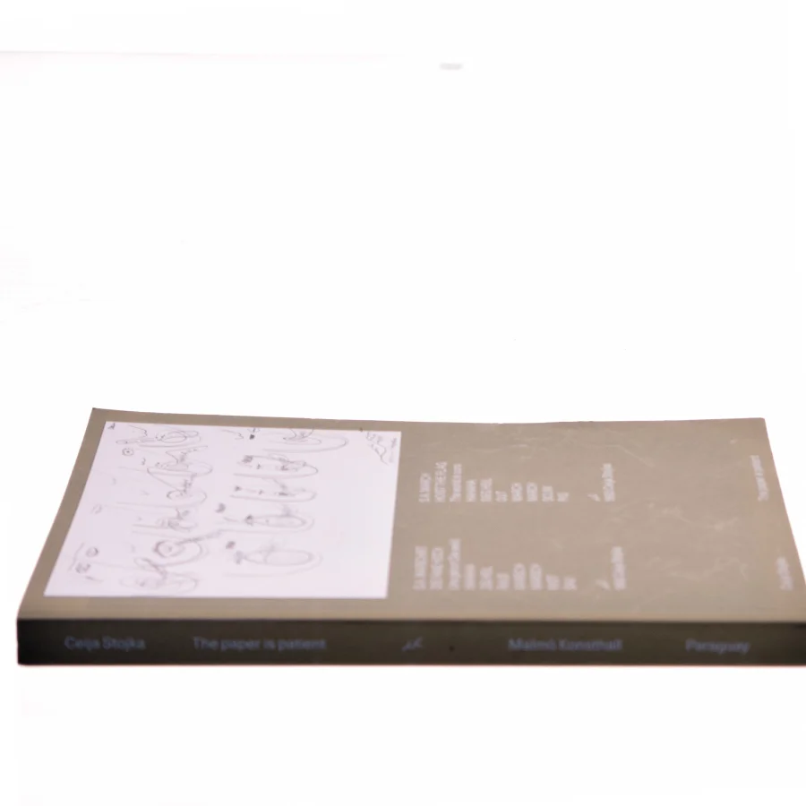 The paper is patient af Ceija Stojka (Bog)