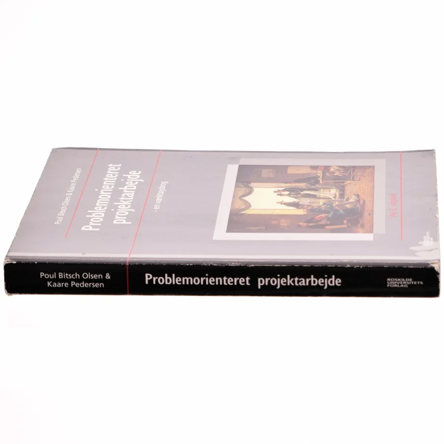 Problemorienteret projektarbejde af Poul Bitsch Olsen, Kaare Pedersen (Bog)