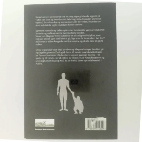 Saras univers : om hvordan verden og livet blev til af Jan Frische (Bog)