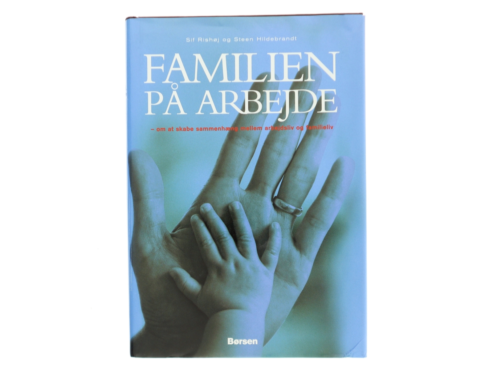 Familien på arbejde (Bog)