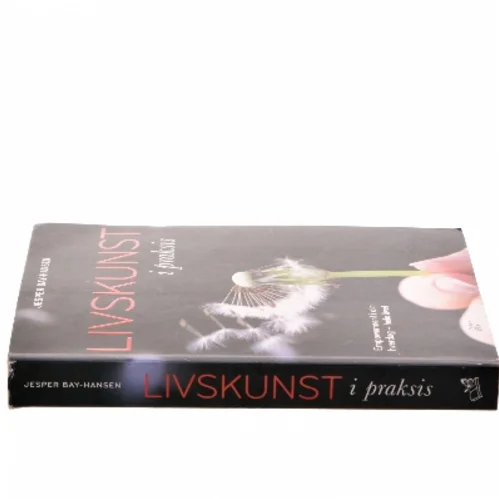 Livskunst i praksis : empowerment i din hverdag - hele livet af Jesper Bay-Hansen (Bog)