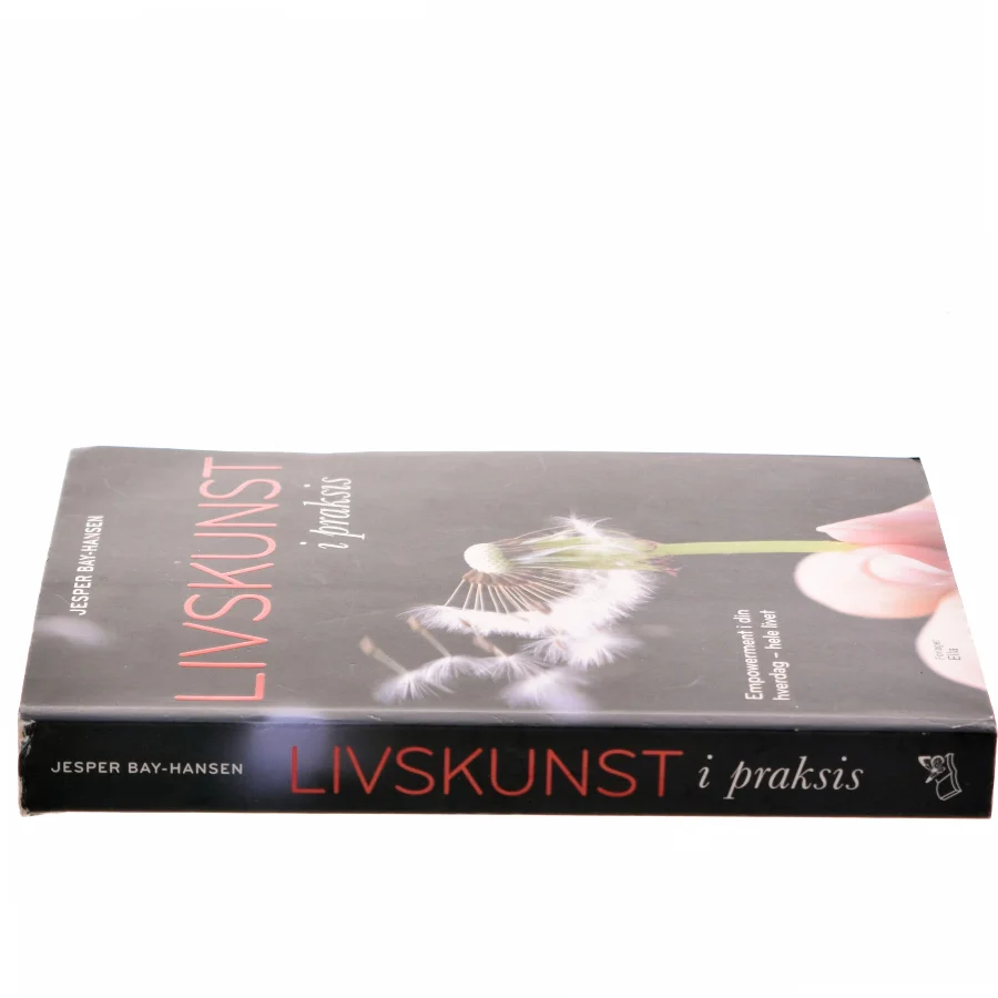 Livskunst i praksis : empowerment i din hverdag - hele livet af Jesper Bay-Hansen (Bog)
