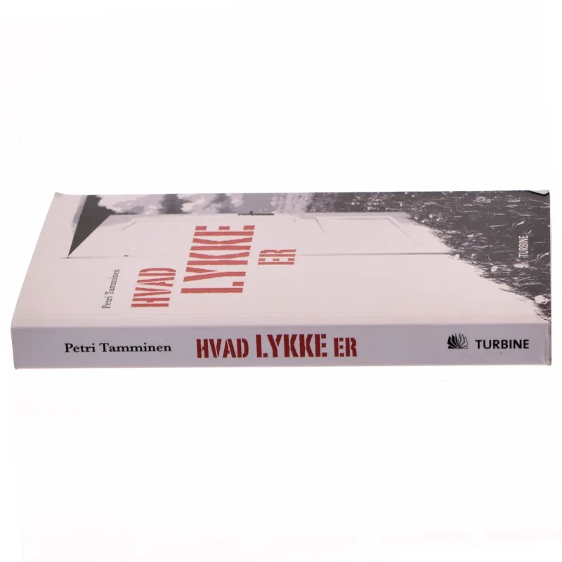 Hvad lykke er af Petri Tamminen (Bog)