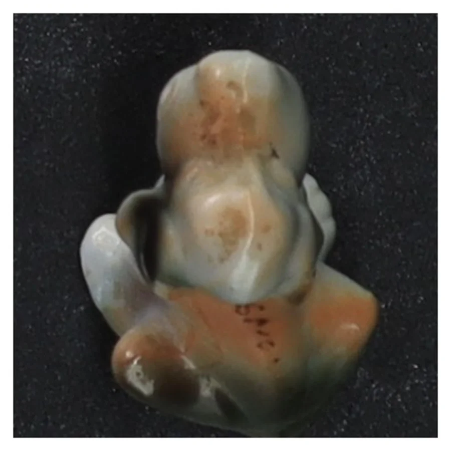Lille Nuser Bassett porcelænshund (str. 6 cm)