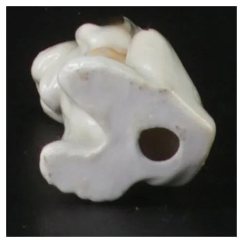 Lille Nuser Bassett porcelænshund (str. 6 cm)