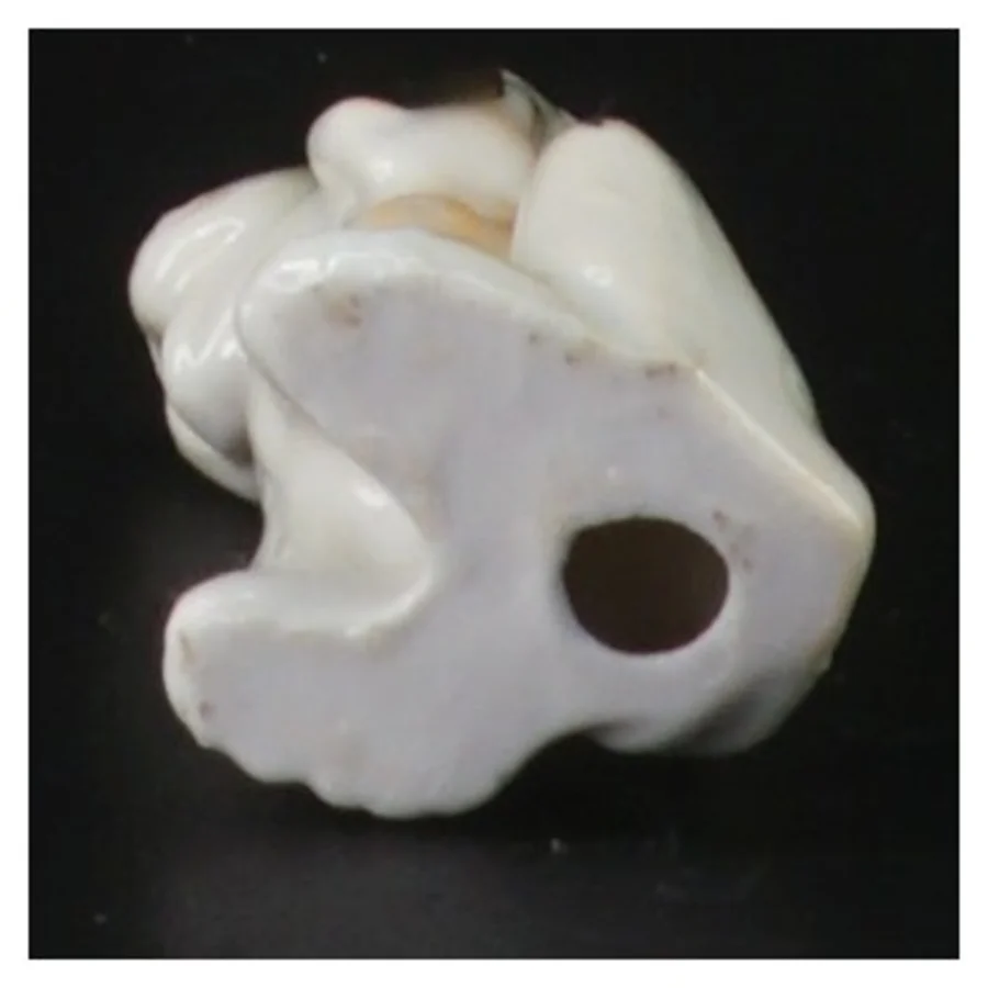 Lille Nuser Bassett porcelænshund (str. 6 cm)