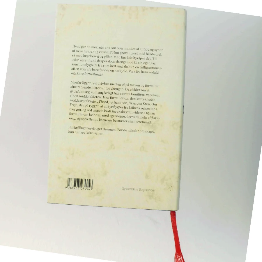 Æg : roman af Morten Ramsland (Bog)