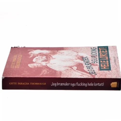 Jeg brænder sgu fucking hele lortet! af Gitte Paracha Thorhauge (Bog)