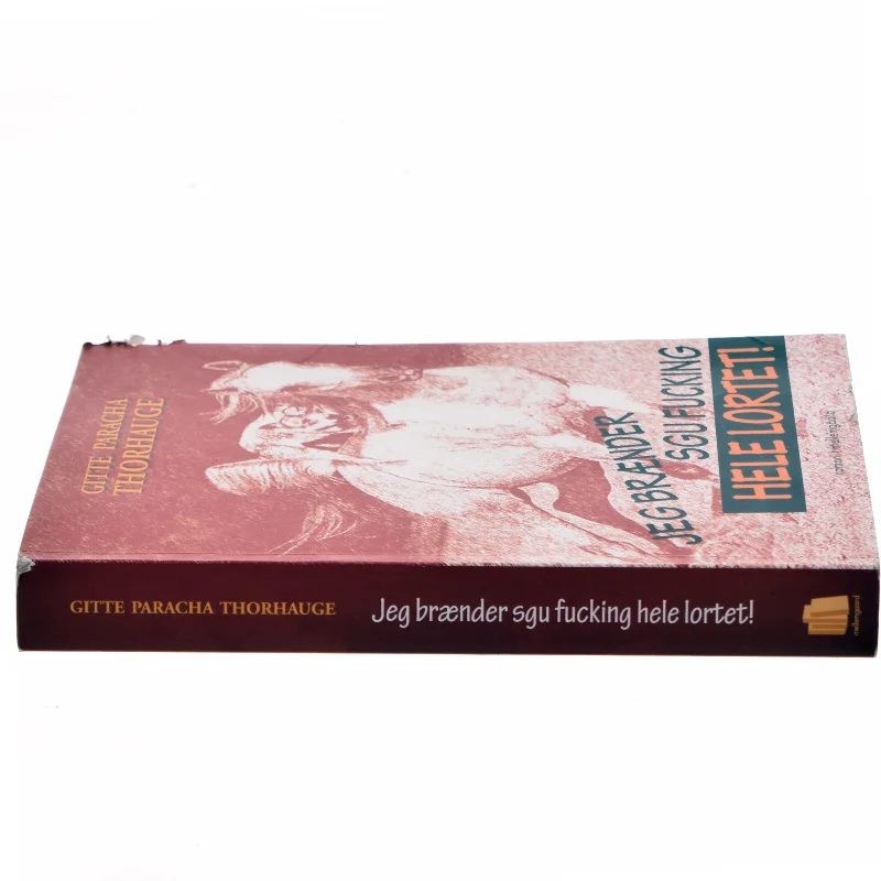 Jeg brænder sgu fucking hele lortet! af Gitte Paracha Thorhauge (Bog)