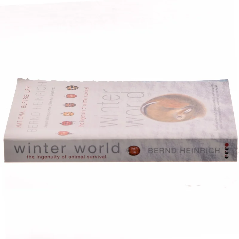 Winter World af Bernd Heinrich (Bog)