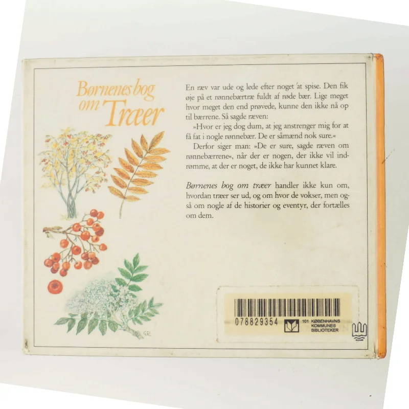 Børnenes bog om Træer af Bisse Falk (Bog)