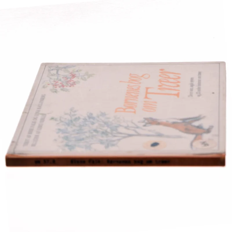 Børnenes bog om Træer af Bisse Falk (Bog)