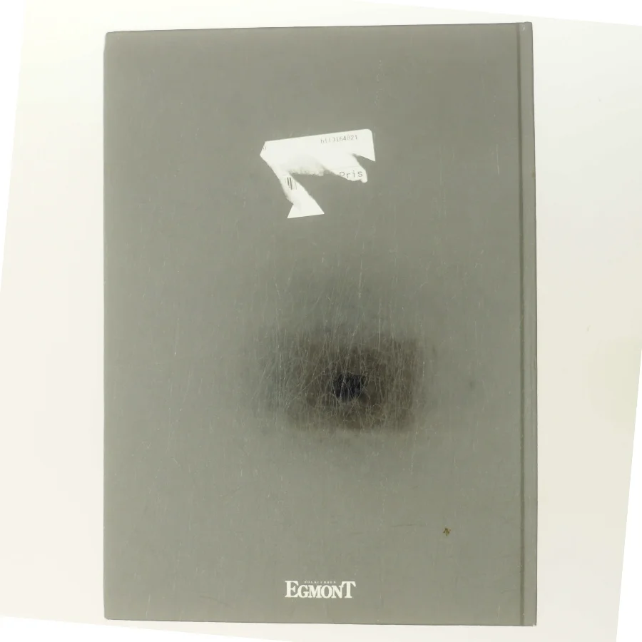 Planter i krukker og potter af Eyvind Thorsen (Bog)