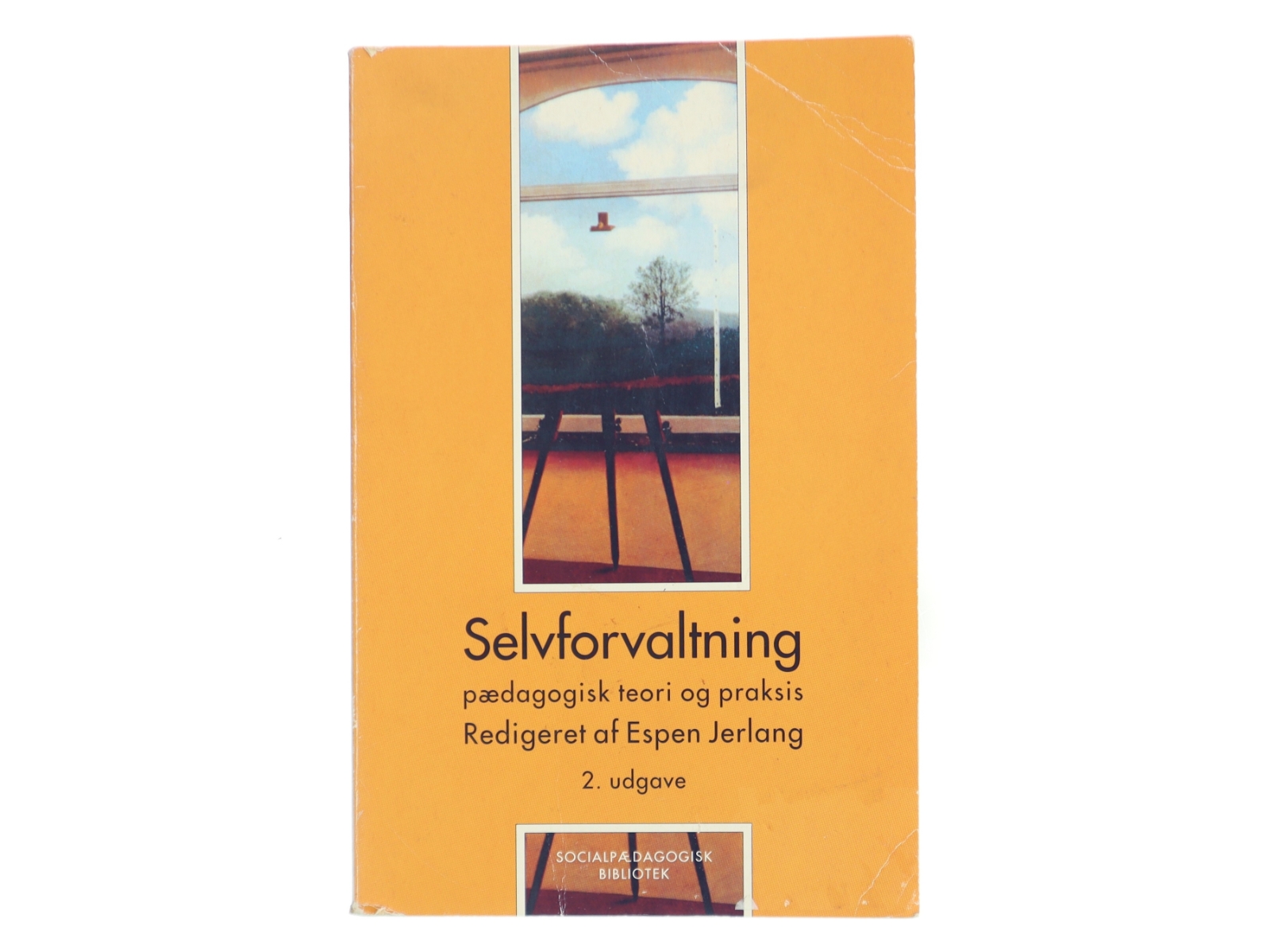 Selvforvaltning : pædagogisk teori og praksis (Bog)