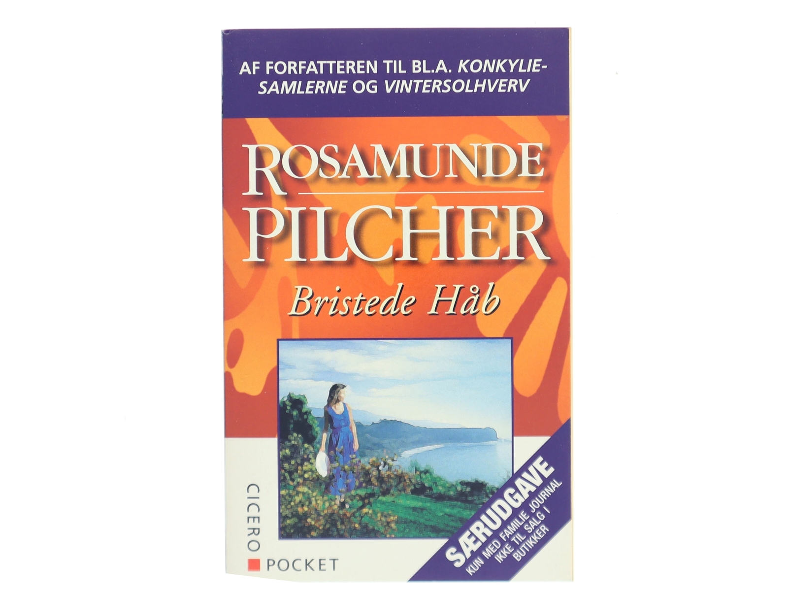 Bristede Håb af Rosamunde Pilcher (Bog)