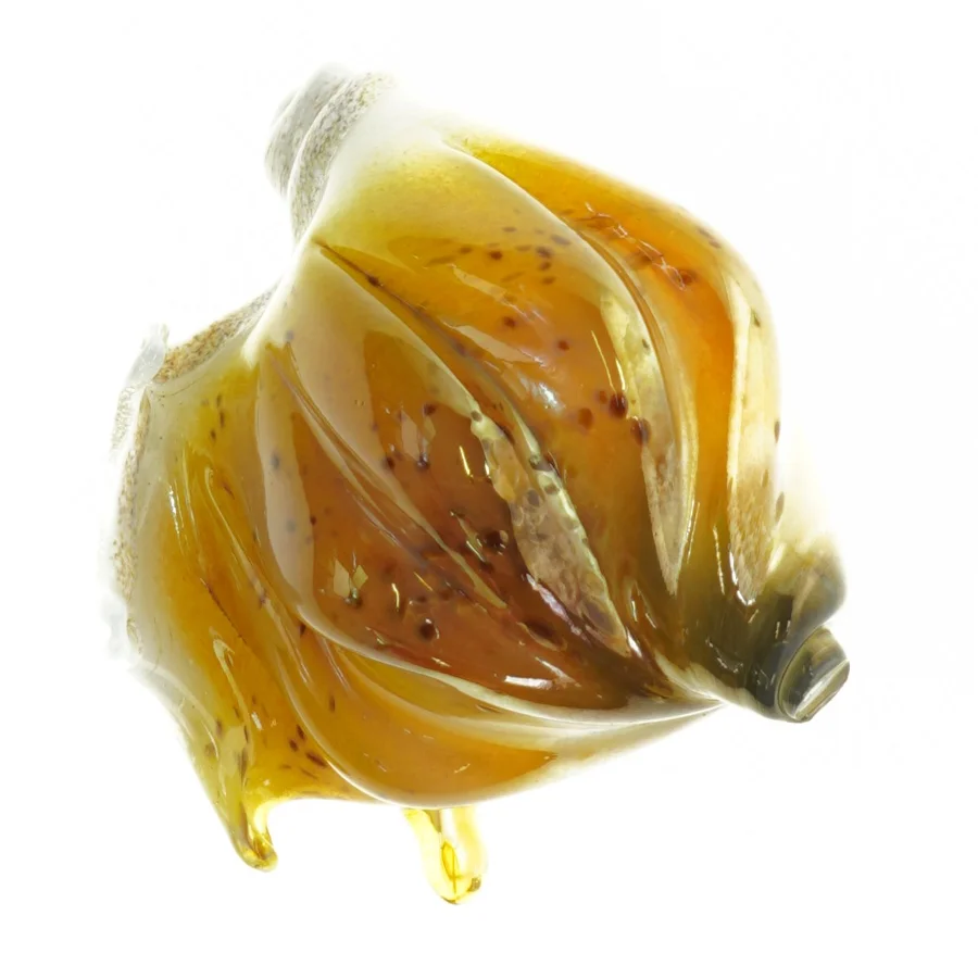 Håndlavet Glas kunst Konkylie skal Murano Glas kunst figur (str. 14 x 13 cm)