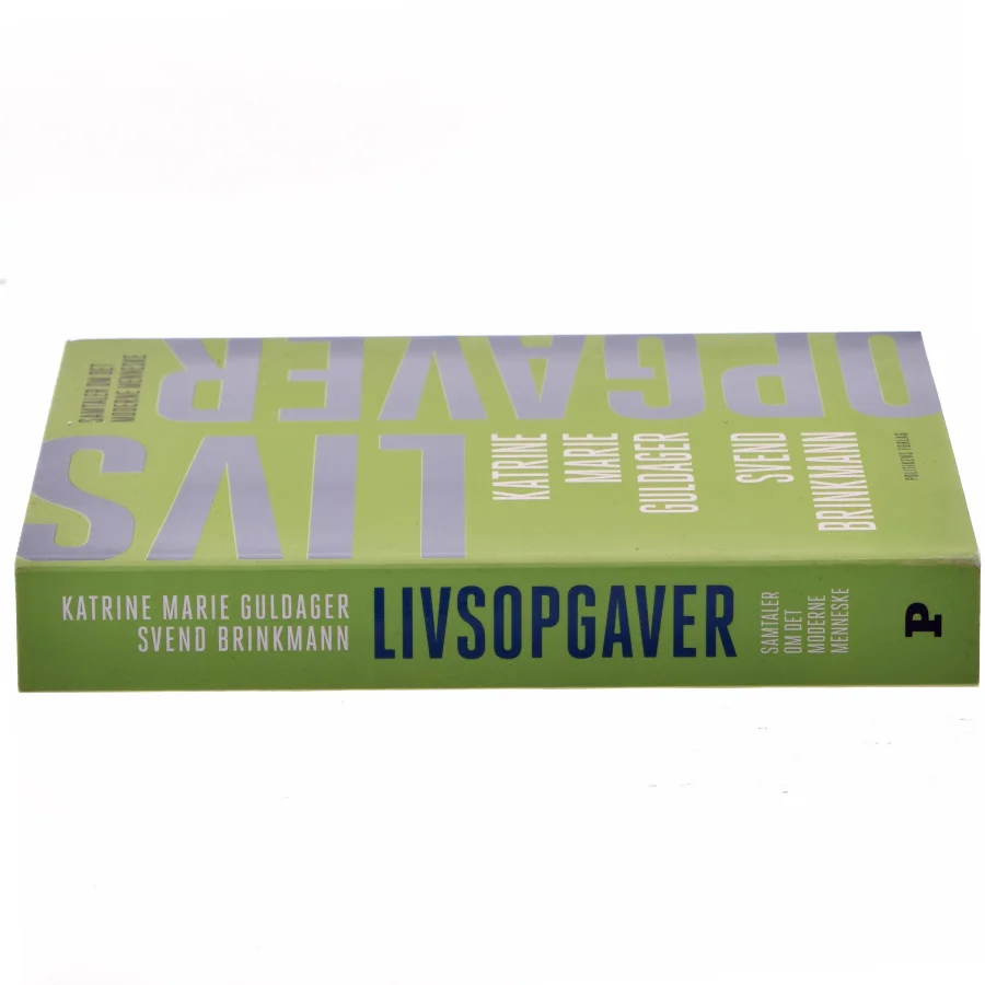 Livsopgaver : samtaler om det moderne menneske af Katrine Marie Guldager (Bog)