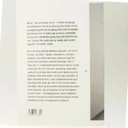 Når straffen rammer uskyldige : børn af fængslede i Danmark af Janne Jakobsen (Bog)