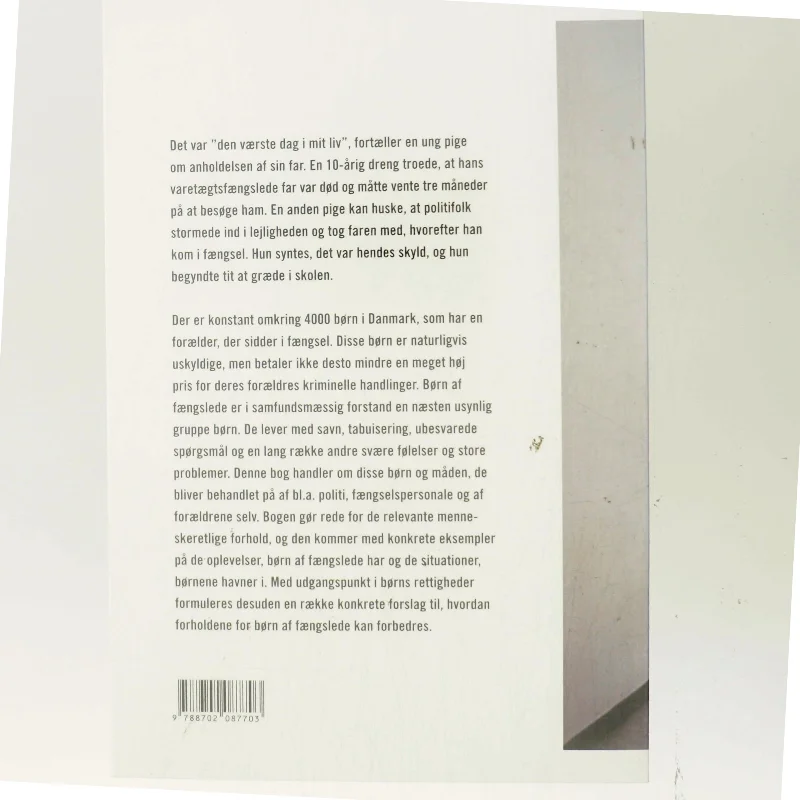 Når straffen rammer uskyldige : børn af fængslede i Danmark af Janne Jakobsen (Bog)