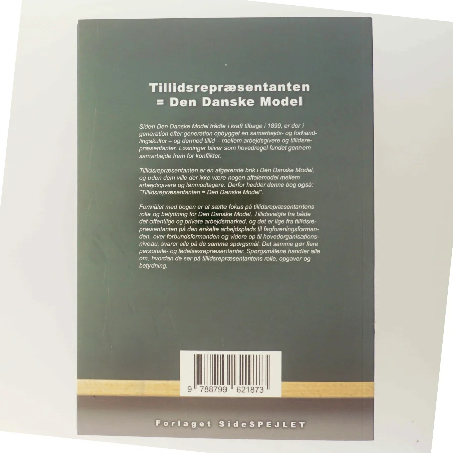 Tillidsrepræsentanten = den danske model af Bjarne Henrik Lundis (Bog) 