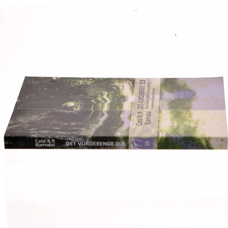 'DET VURDERENDE ØJE' fra Forlaget Klim