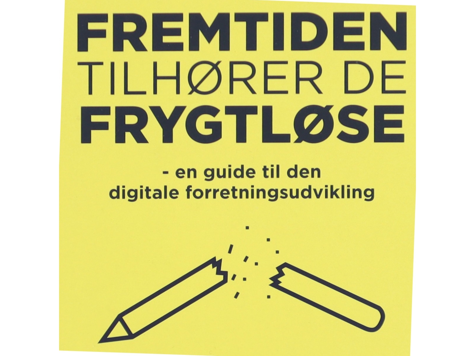 Fremtiden tilhører de frygtløse : en guide til den digitale forretningsudvikling af Astrid Haug (Bog)