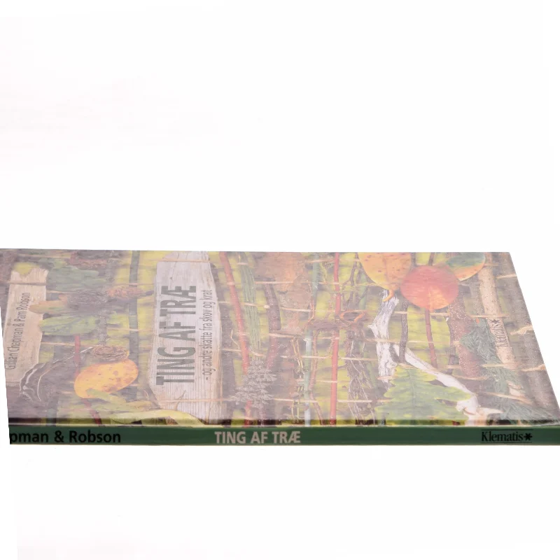 TING AF TRÆ af Gillian Chapman (Bog)