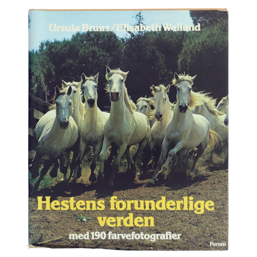 Hestens forunderlige verden af Ursula Bruns (Bog)