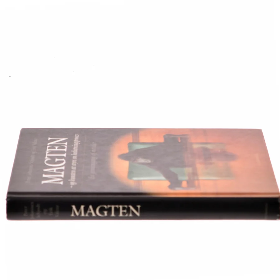 Magten - og kunsten at styre en beslutningsproces (Bog)