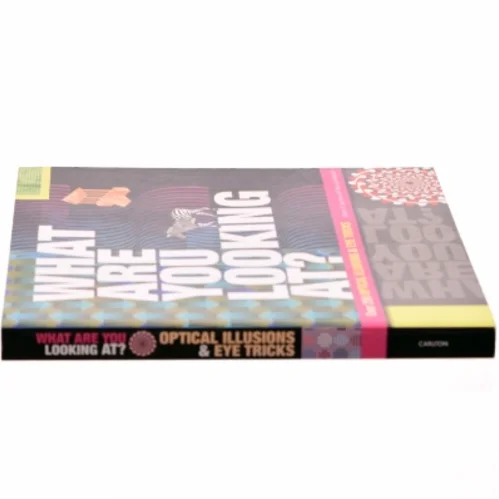 What are You Looking At? af Gianni A. Sarcone, Marie-Jo Waeber (Bog)