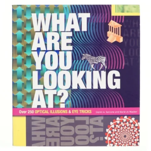 What are You Looking At? af Gianni A. Sarcone, Marie-Jo Waeber (Bog)