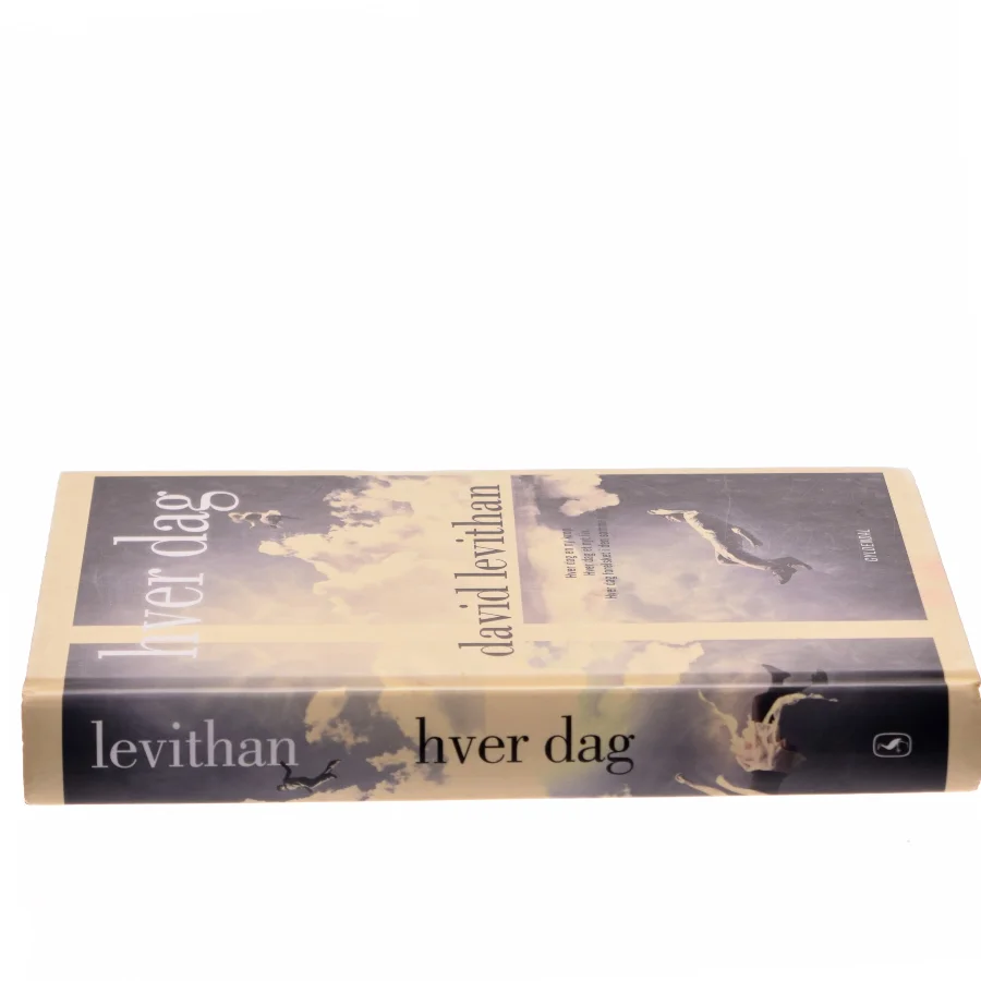 Hver dag af David Levithan (Bog)
