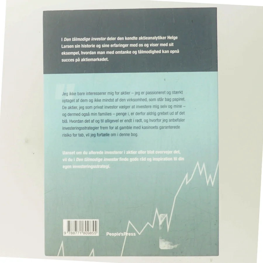 Den tålmodige investor af Helge Larsen (f. 1958) (Bog)