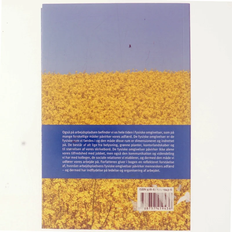 Rumforskning : fysiske omgivelser i ledelse og organisering af arbejde af Peter Holdt Christensen (Bog)