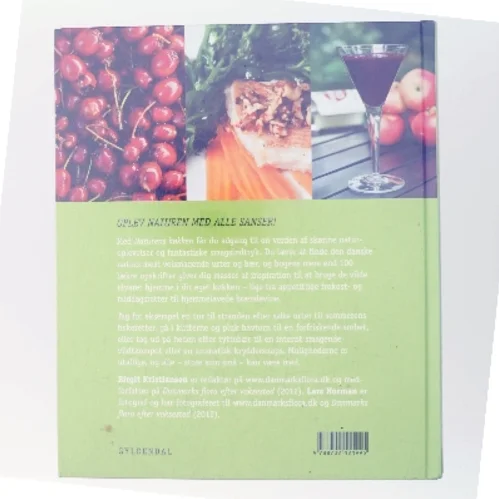 Naturens køkken : find og spis de lækreste bær og urter af Birgit Kristiansen (f. 1957-02-13) (Bog)