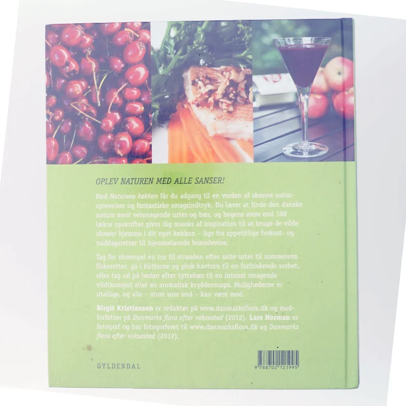 Naturens køkken : find og spis de lækreste bær og urter af Birgit Kristiansen (f. 1957-02-13) (Bog)