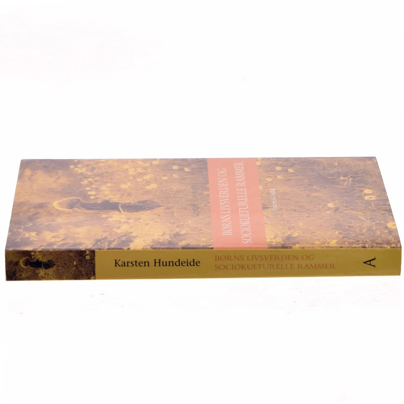 Børns livsverden og sociokulturelle rammer af Karsten Hundeide (Bog)