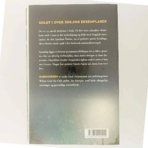 Gudmoderen af Hanne Kristin Rohde (Bog)