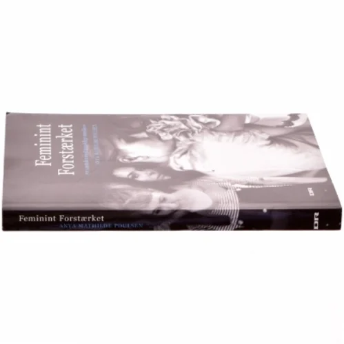 Feminint forstærket : syv samtaler med kvindelige musikere (Bog)