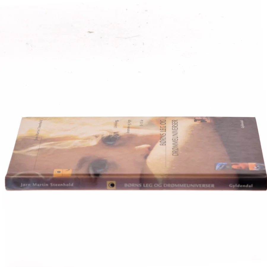 Børns leg og drømmeuniverser : udvikling, drømme og lege 0-10 år af Jørn Steenhold (Bog)