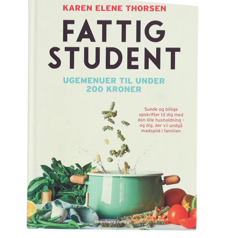 Fattig student af Karen Elene Thorsen (f. 1997) (Bog)