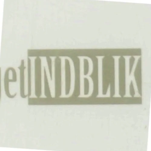 Ledergruppen : det dynamiske omdrejningspunkt af Susanne Teglkamp (Bog)